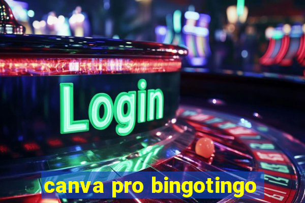 canva pro bingotingo